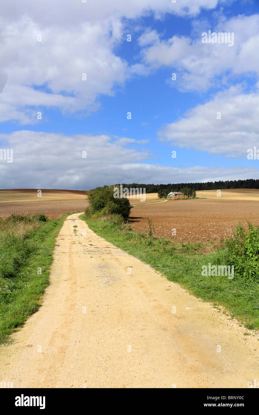 Strada che conduce nella bellissima campagna francese, vicino a Verdun, Meuse, Francia. Foto Stock