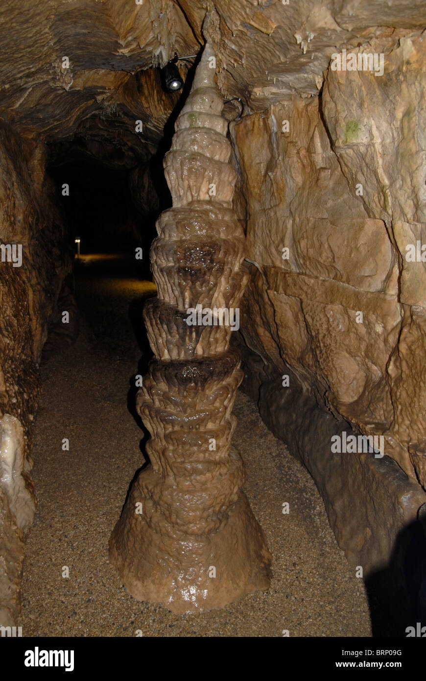 Le stalagmiti a Binghöhle, una grotta nei pressi di Streitberg, Fränkische Schweiz, Franconia, Germania Foto Stock