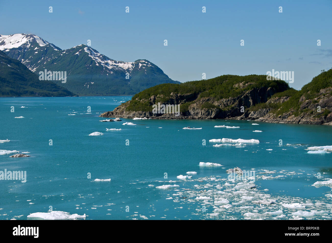 Yakutat Bay all'interno del passaggio di Alaska USA Foto Stock