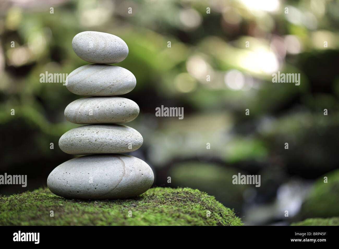 Equilibrio e armonia nella natura Foto Stock