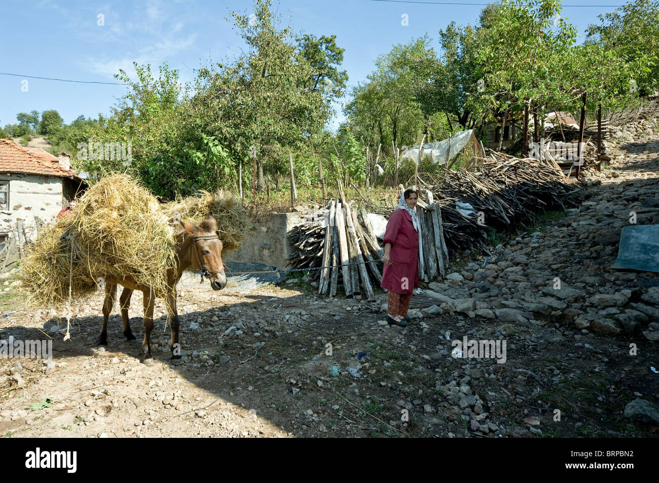 Il bulgaro musulmani dal villaggio Kushla montagne Rodopi Bulgaria Foto Stock