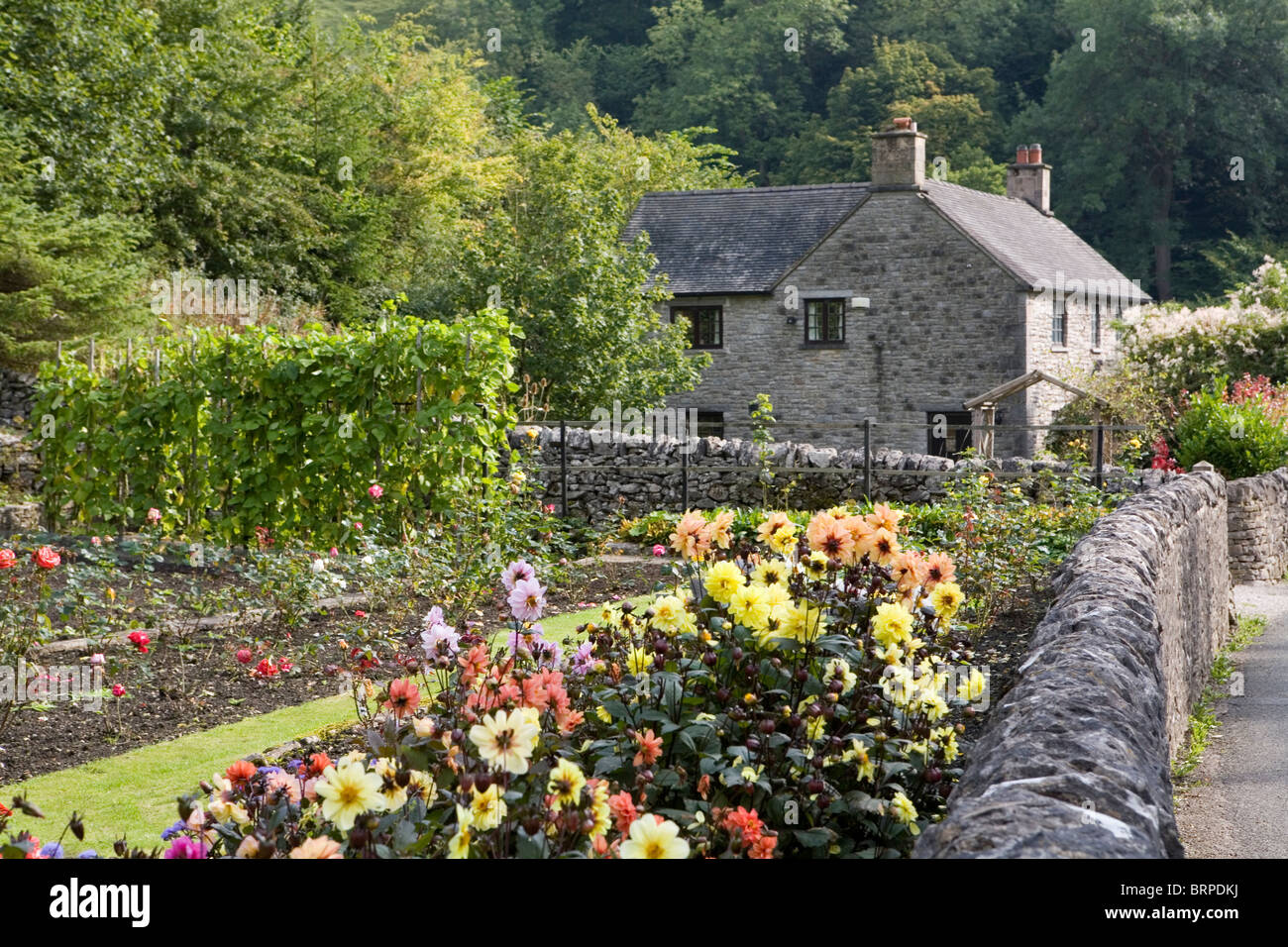 Cottage e giardini, Milldale villaggio nel picco bianco, Derbyshire, in Inghilterra, Regno Unito Foto Stock