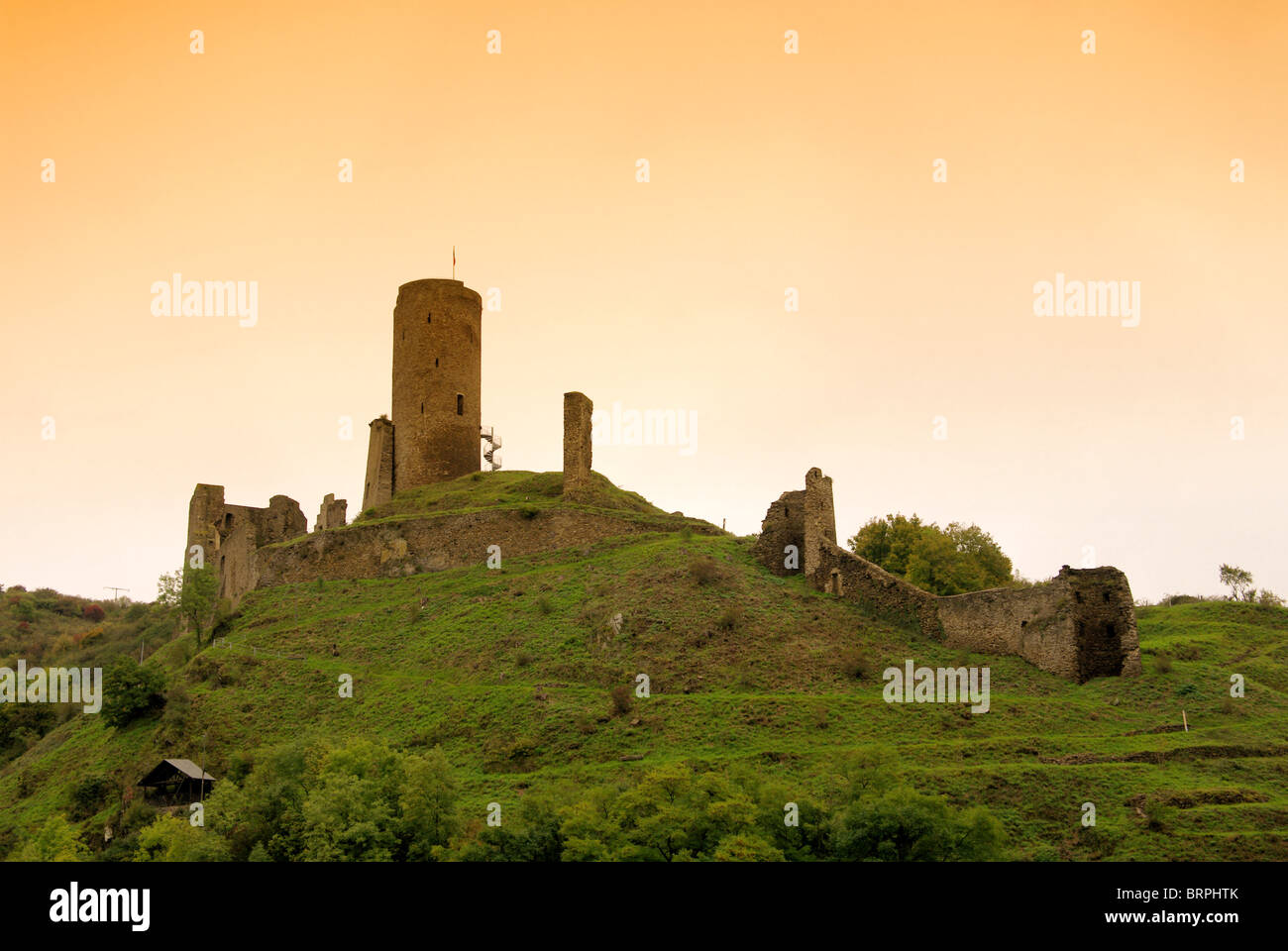 Monreal Burg - Monreal castello 07 Foto Stock