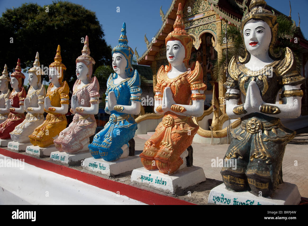 Fila di diversi dipinti inginocchiamento figure  Tempio statua figure a Mae Taeng, Chiang Mai, Thailandia del Nord Asia Foto Stock
