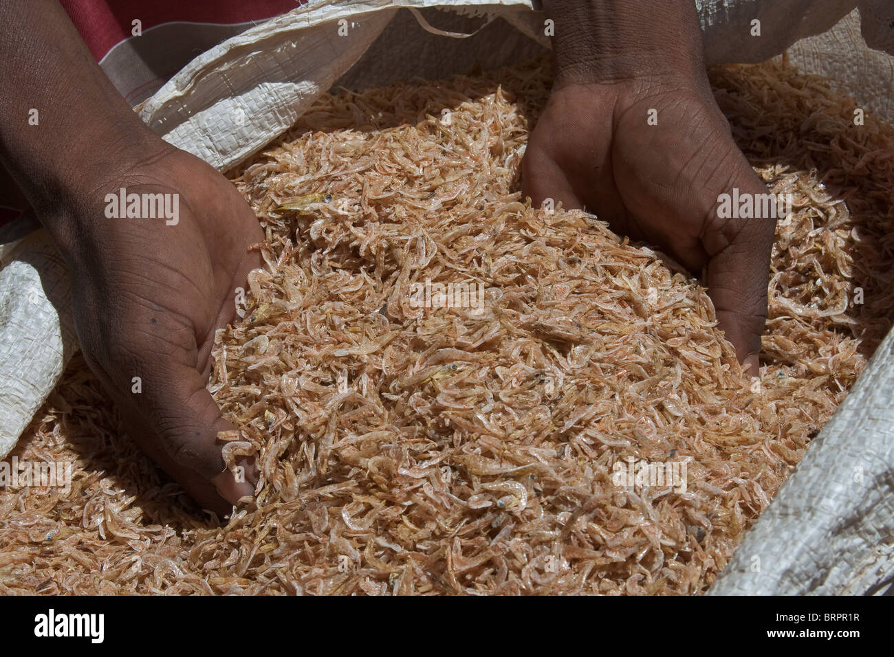 Gamberi secchi per la vendita, sul mercato Antsohihy, Madagascar. Foto Stock