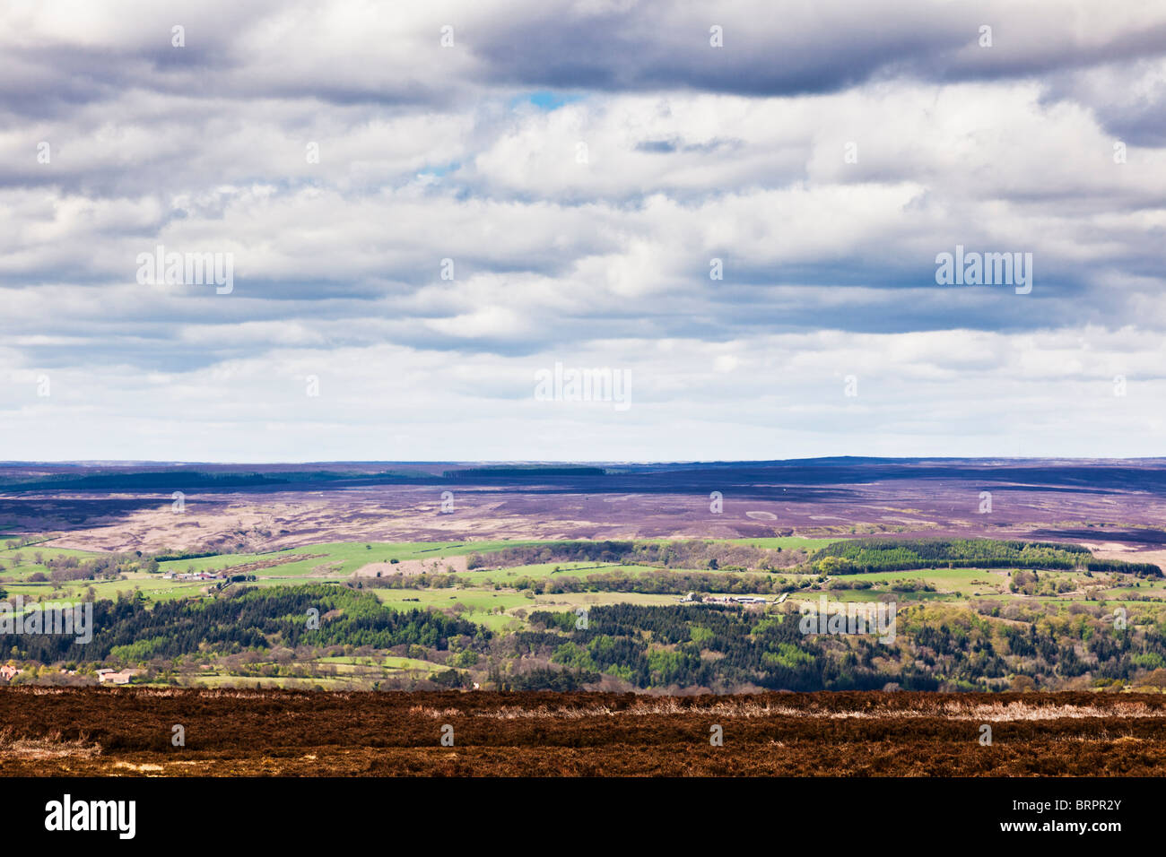 Tipico di North York Moors scena North Yorkshire England Regno Unito Foto Stock