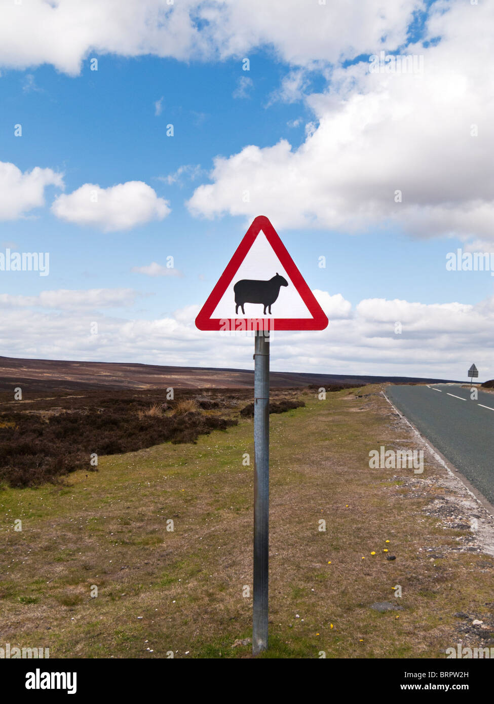 Segnaletica stradale per avvisare le pecore su una strada rurale che precede in Inghilterra, Regno Unito Foto Stock