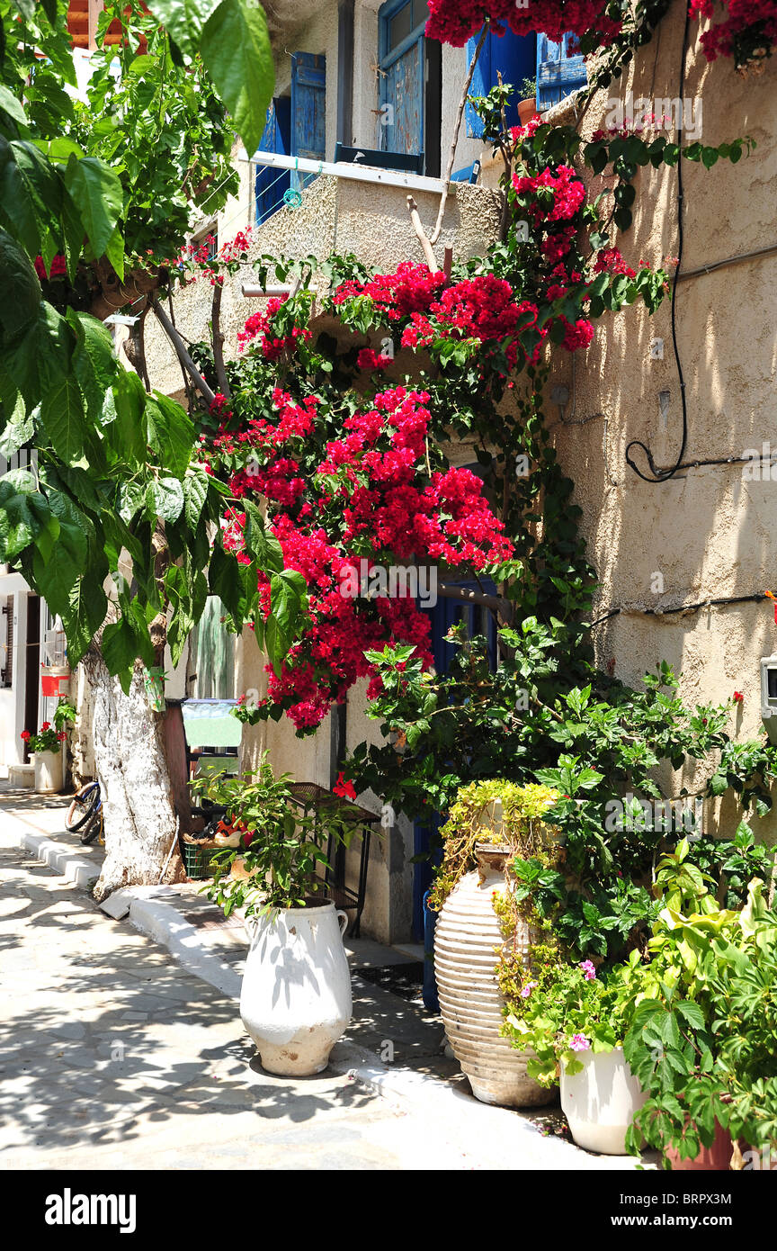 Tradizionale greco backstreet nel piccolo villaggio di Mirtos, nel sud di Creta, Grecia Foto Stock