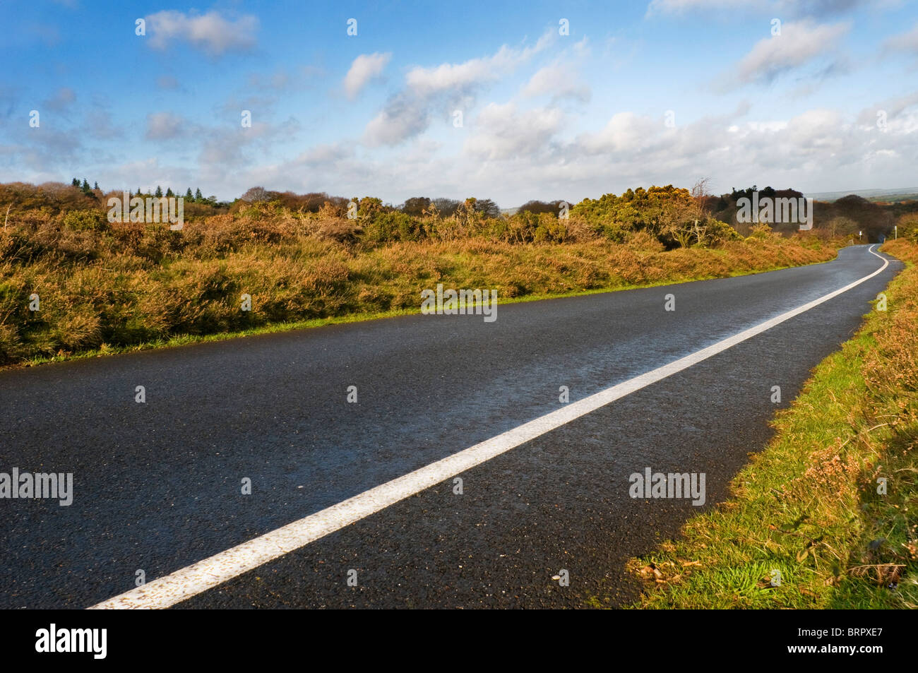 Unfenced strada vuota che si allungano con linea bianca continua indicando una pista ciclabile, Dartmoor Devon UK Foto Stock