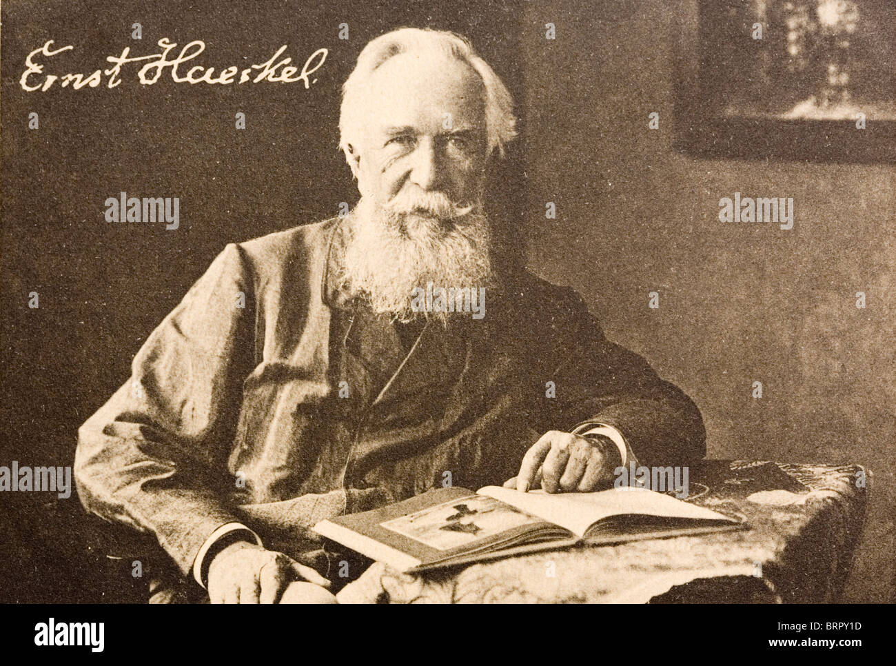 Ernst Heinrich Philipp August Haeckel (1834 - 1919), evolutiva teorico. Foto Stock