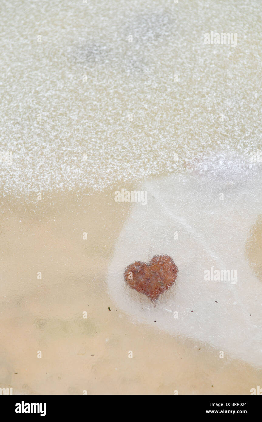 A heart-shaped foglia solo sospesa sotto surgelate spesse acqua smerigliato Foto Stock