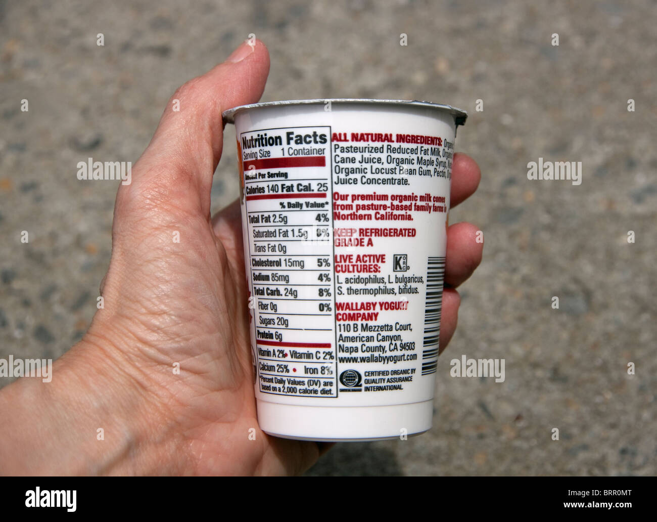 Yogurt contenente 4 diversi tipi di live culture attivo. Foto Stock