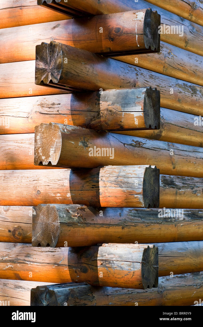L'angolo di un Log Cabin, realizzati in travi di legno e un popolare stile architettonico in America rurale. Foto Stock