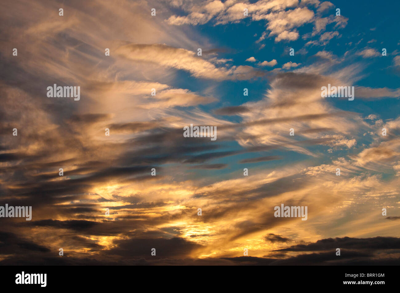 Cirrus nuvole al tramonto Foto Stock