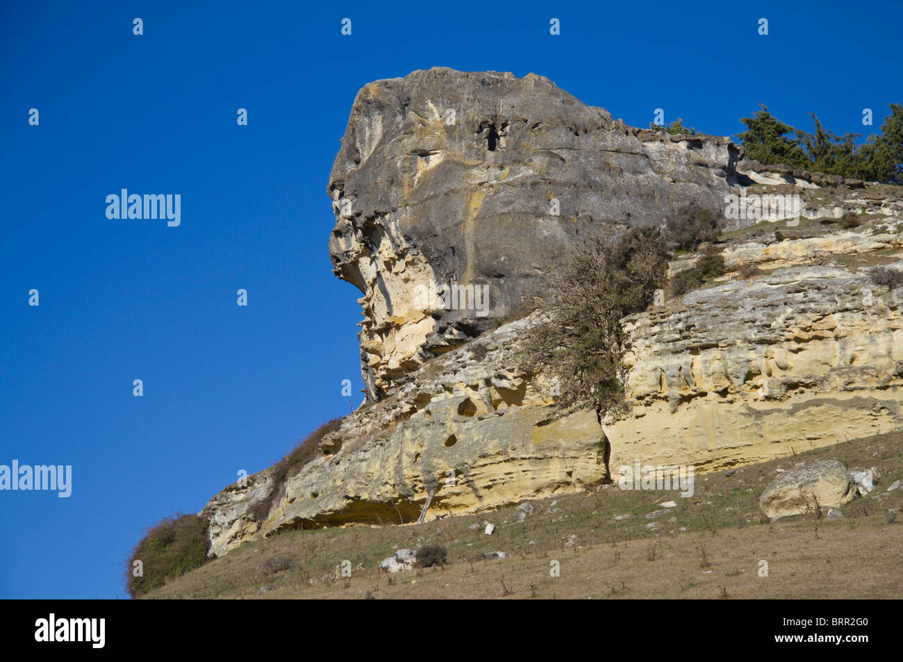 Rocce calcaree, Isola del Sud, Nuova Zelanda Foto Stock