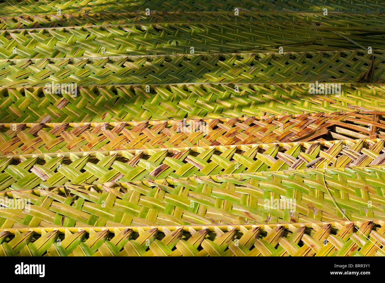 Close-up di intrecciati di foglie di palma utilizzato come materiale di copertura Foto Stock