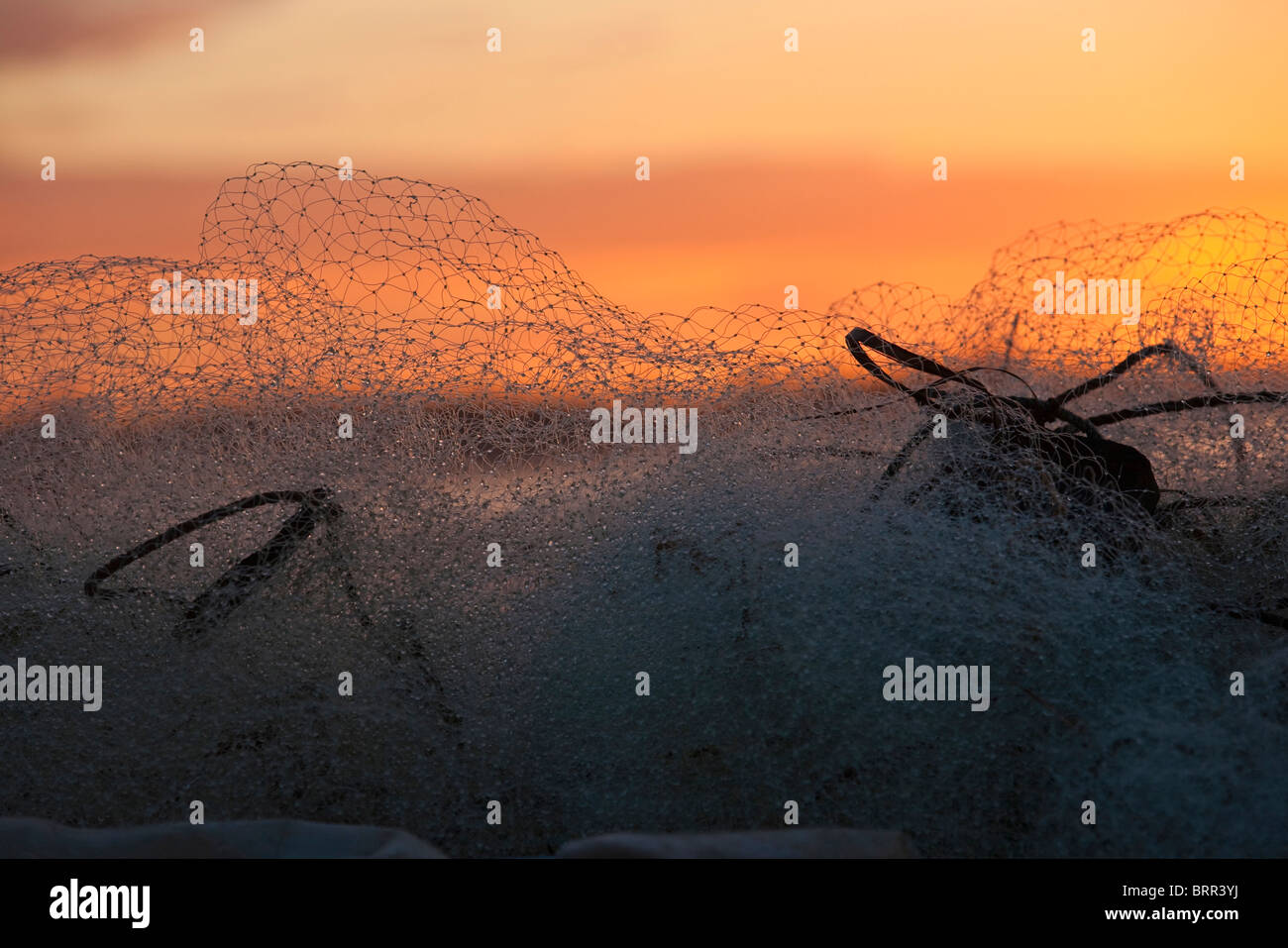 Le reti da pesca sulla spiaggia al tramonto Foto Stock