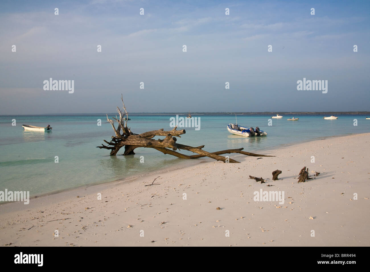 Spiaggia scena con driftwood e le barche in acqua Foto Stock