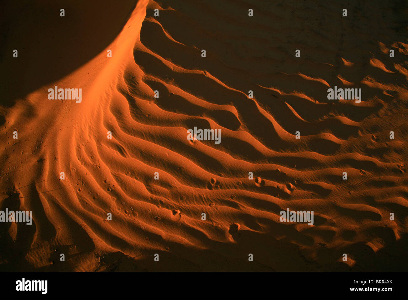 Le dune di sabbia del Sahara Foto Stock