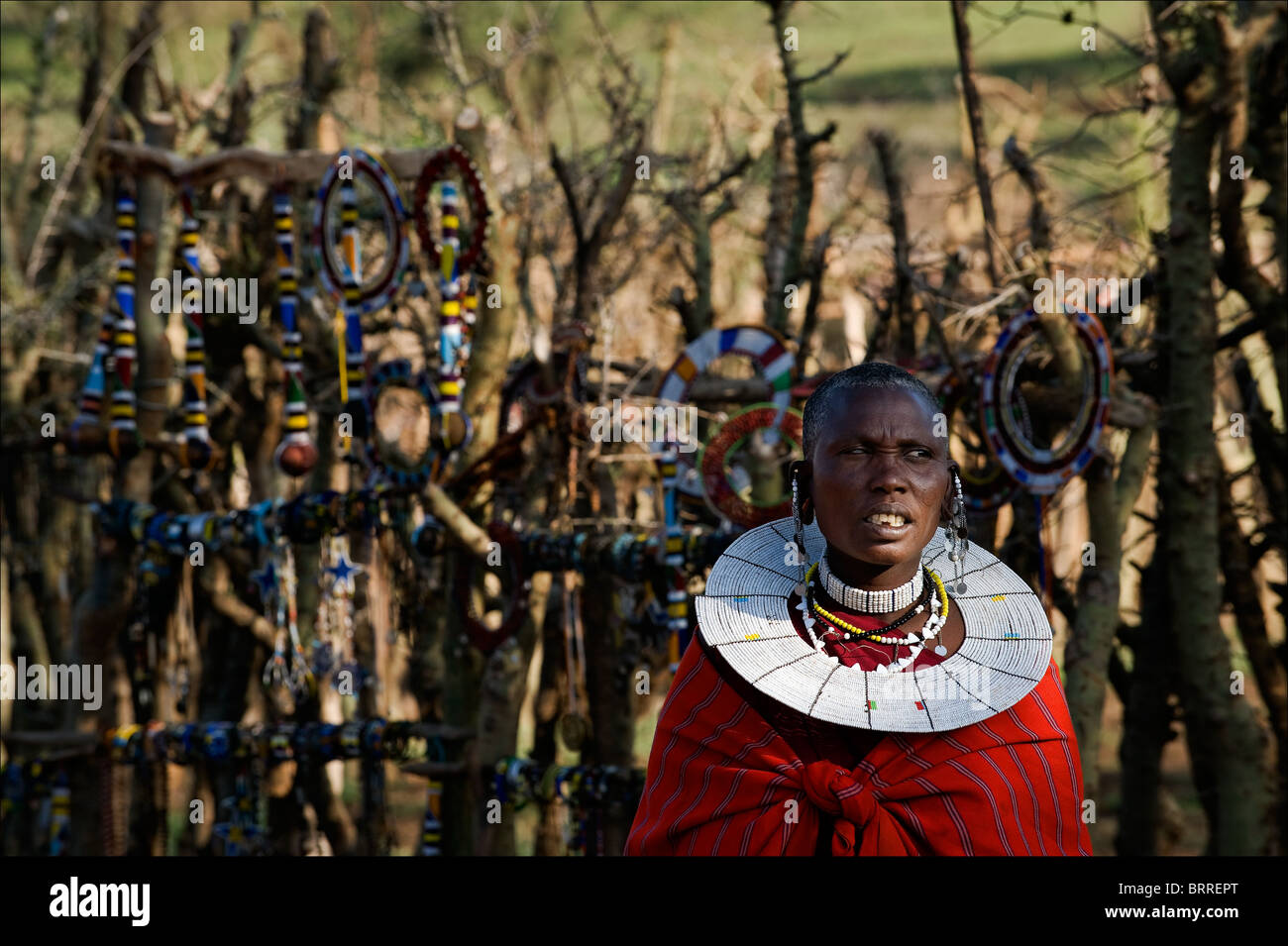 Masai donna con ornamenti. Foto Stock