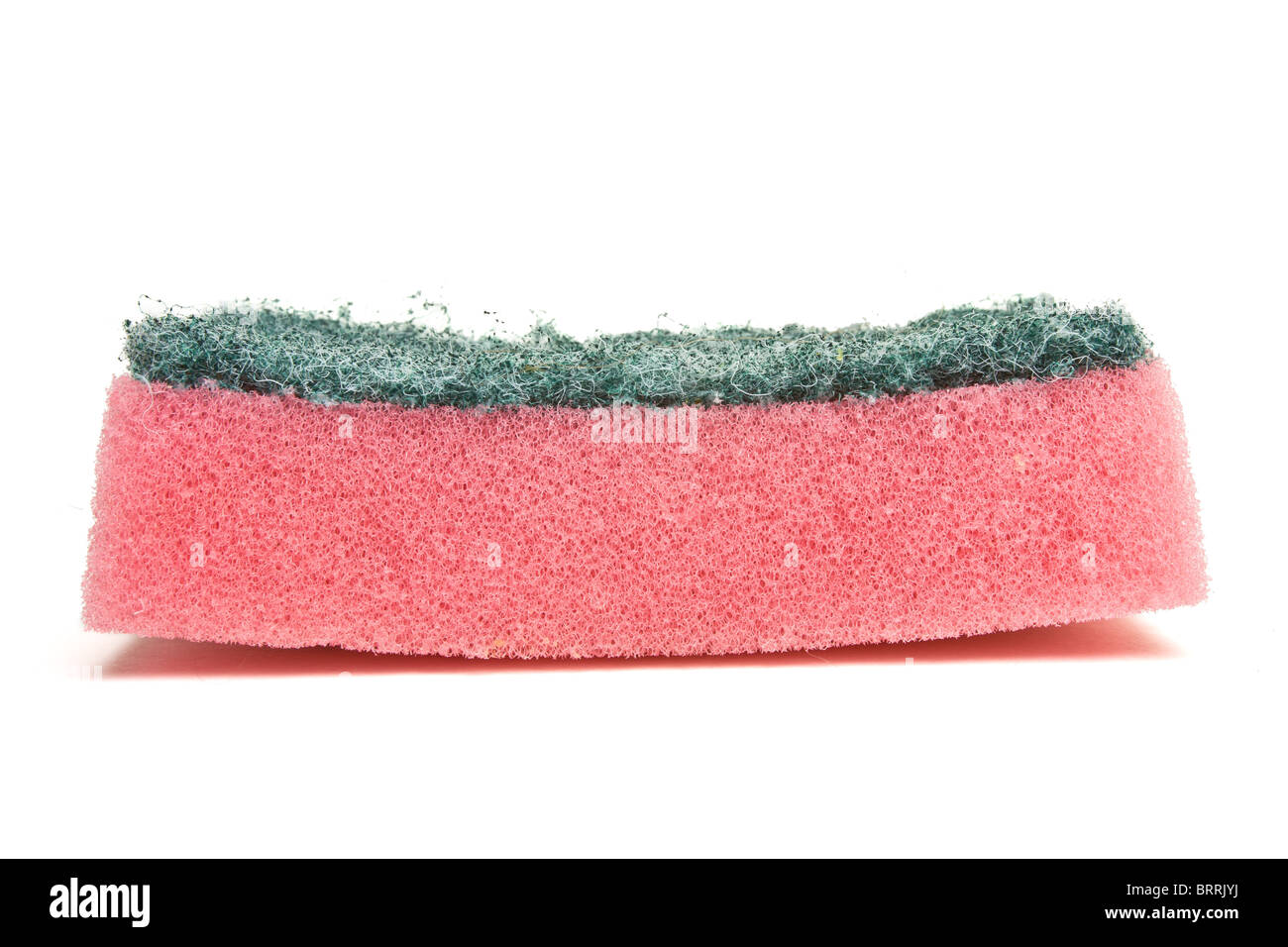 Spugna Scourer dalla prospettiva bassa isolato su bianco. Foto Stock