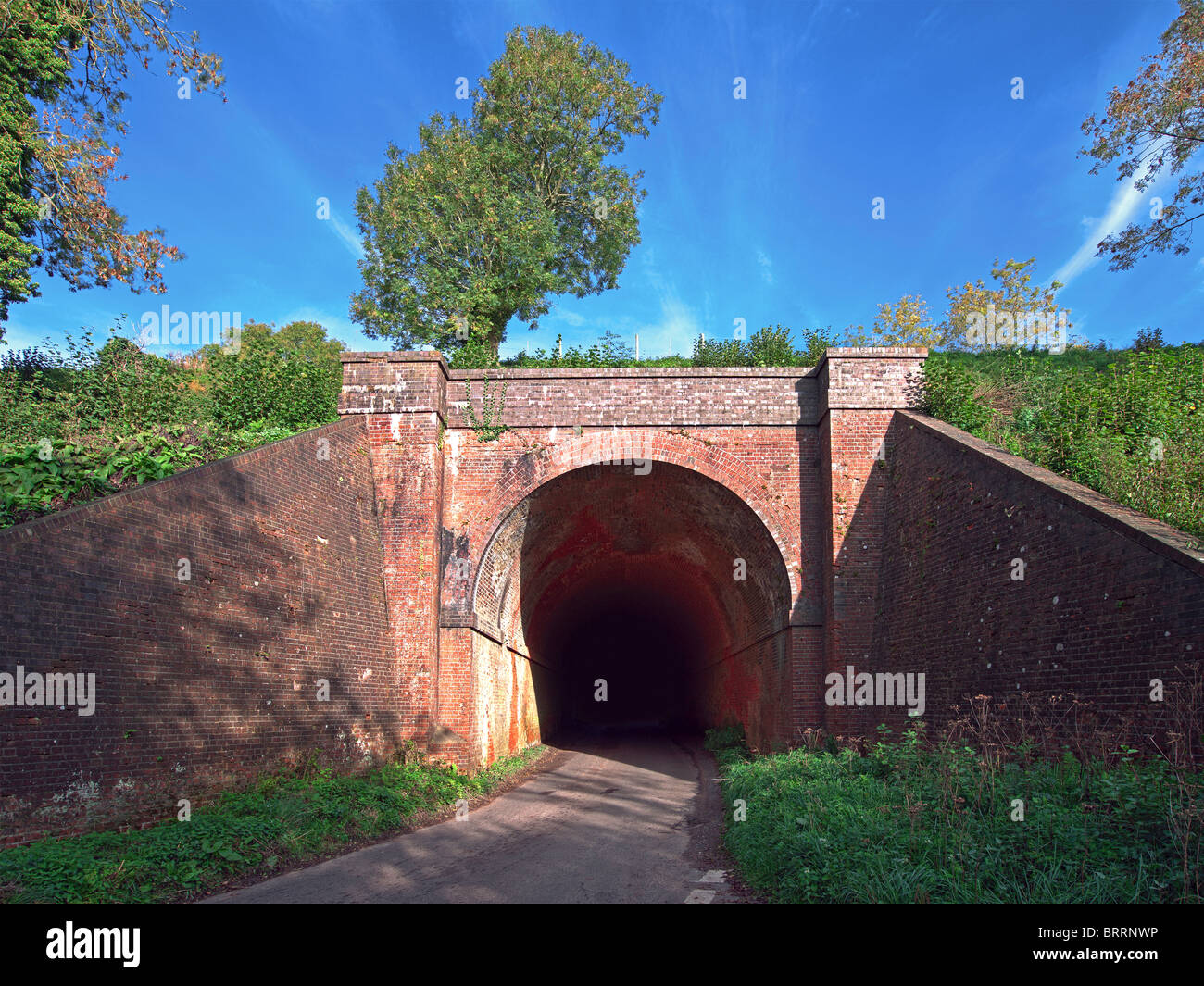 Mattone rosso Tunnel su un terrapieno ferroviario con strada sotto con singolo albero e cielo blu Foto Stock
