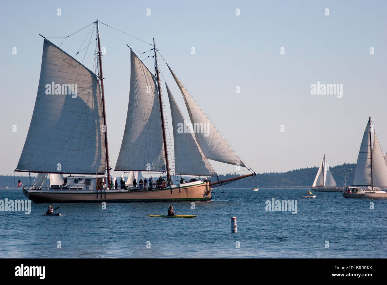 Grandi e piccole imbarcazioni a vela di legno a vela in barca di legno Festival, Port Townsend, Washington, Stati Uniti d'America Foto Stock