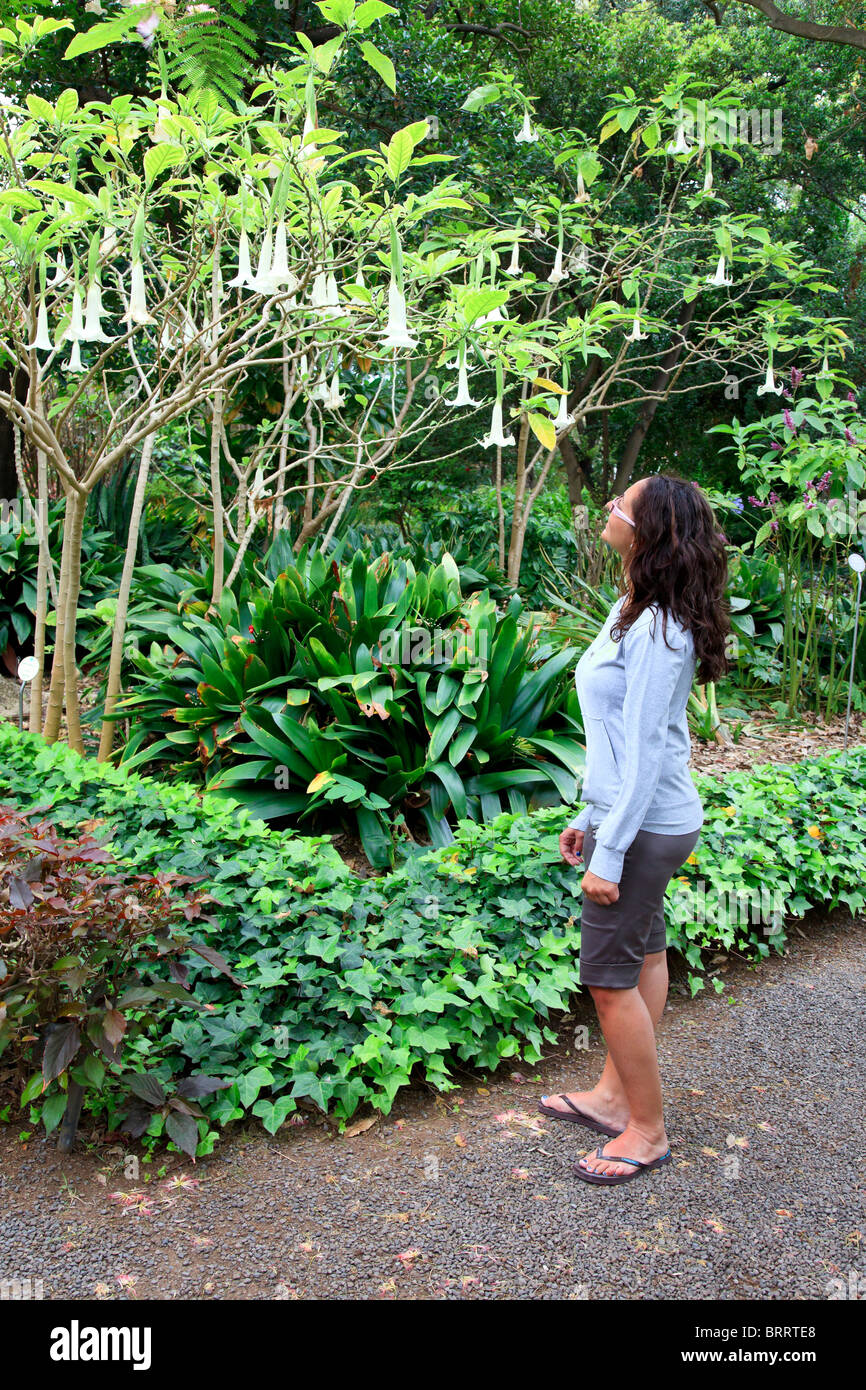 Isole Canarie, Tenerife, Puerto de la Cruz, Jardin Botanico (Giardino Botanico), il turista che visita i giardini (MR) Foto Stock