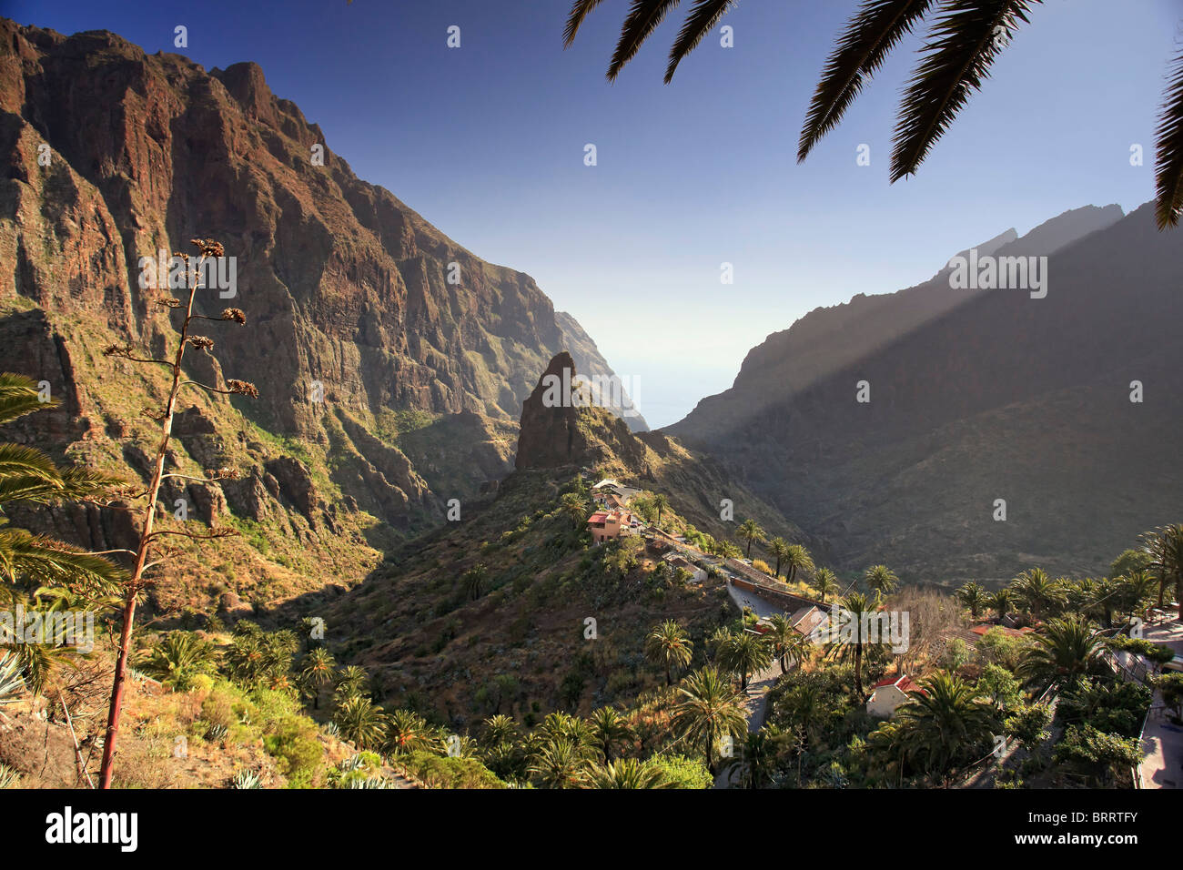 Isole Canarie, Tenerife, Masca villaggio di montagna Foto Stock