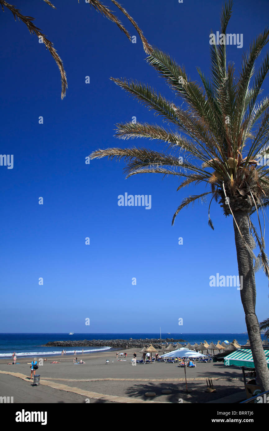 Isole Canarie, Tenerife Playa de las Americas Foto Stock