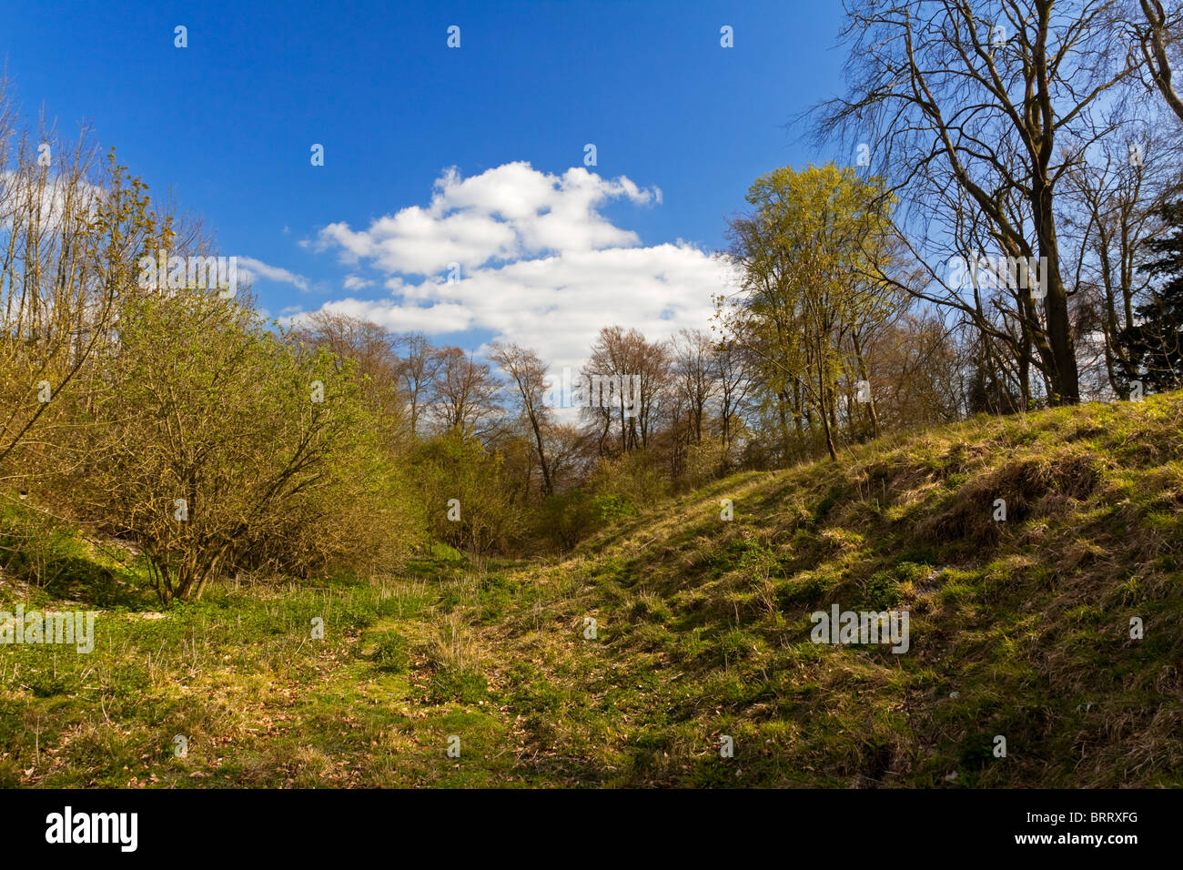 Danebury Hill Fort un età di ferro Hill Fort vicino a Andover Hampshire in Inghilterra costruito nel VI secolo a.c. e utilizzato per 500 anni Foto Stock