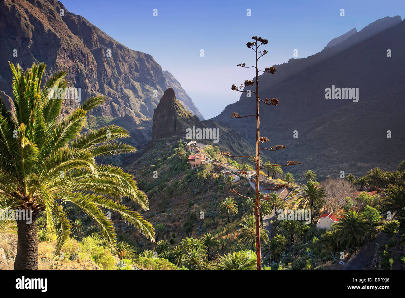 Isole Canarie, Tenerife, Masca villaggio di montagna Foto Stock