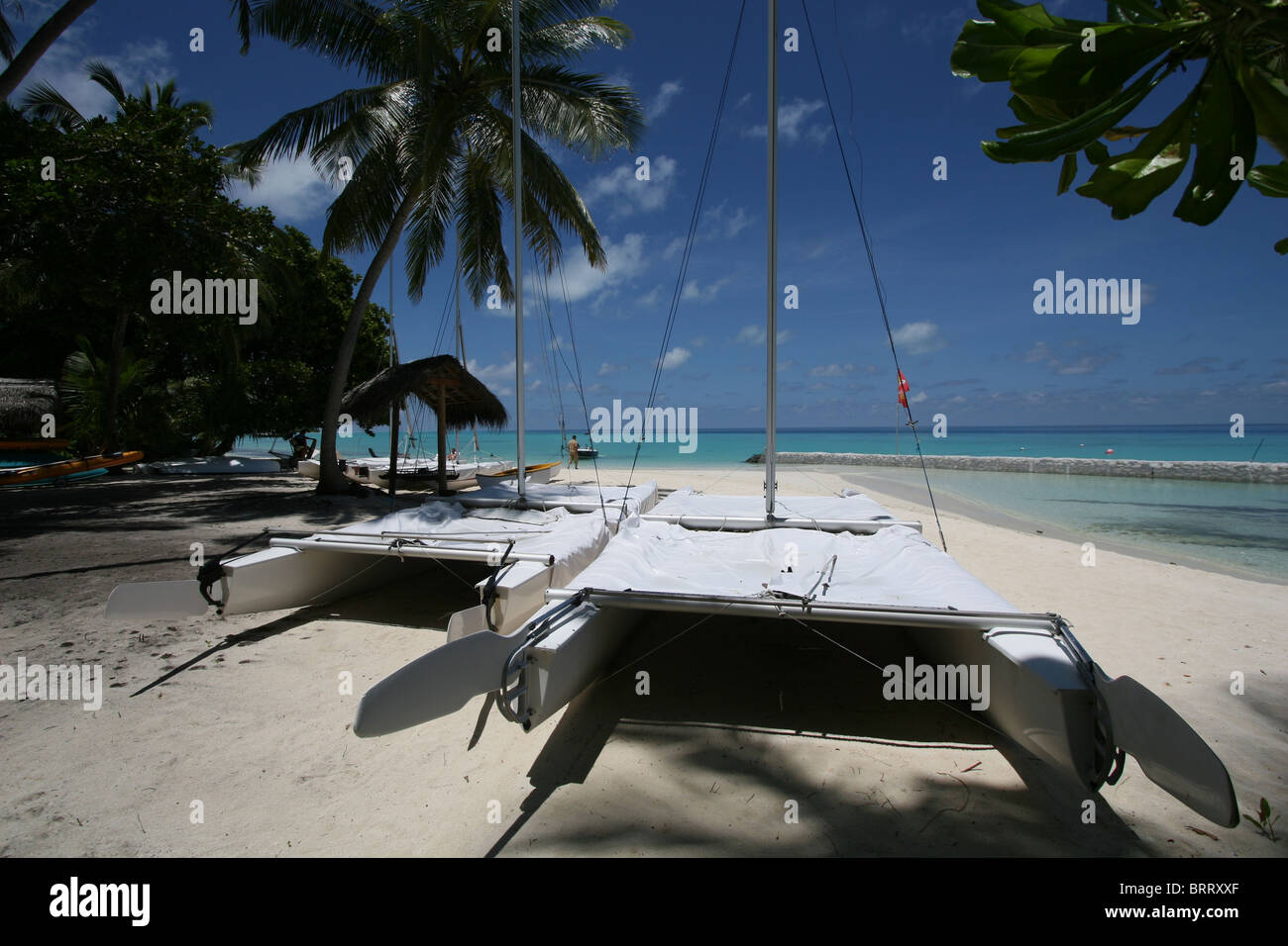 Una tipica scena di spiaggia nelle Maldive, due catamarani al di fuori della scuola di vela Foto Stock