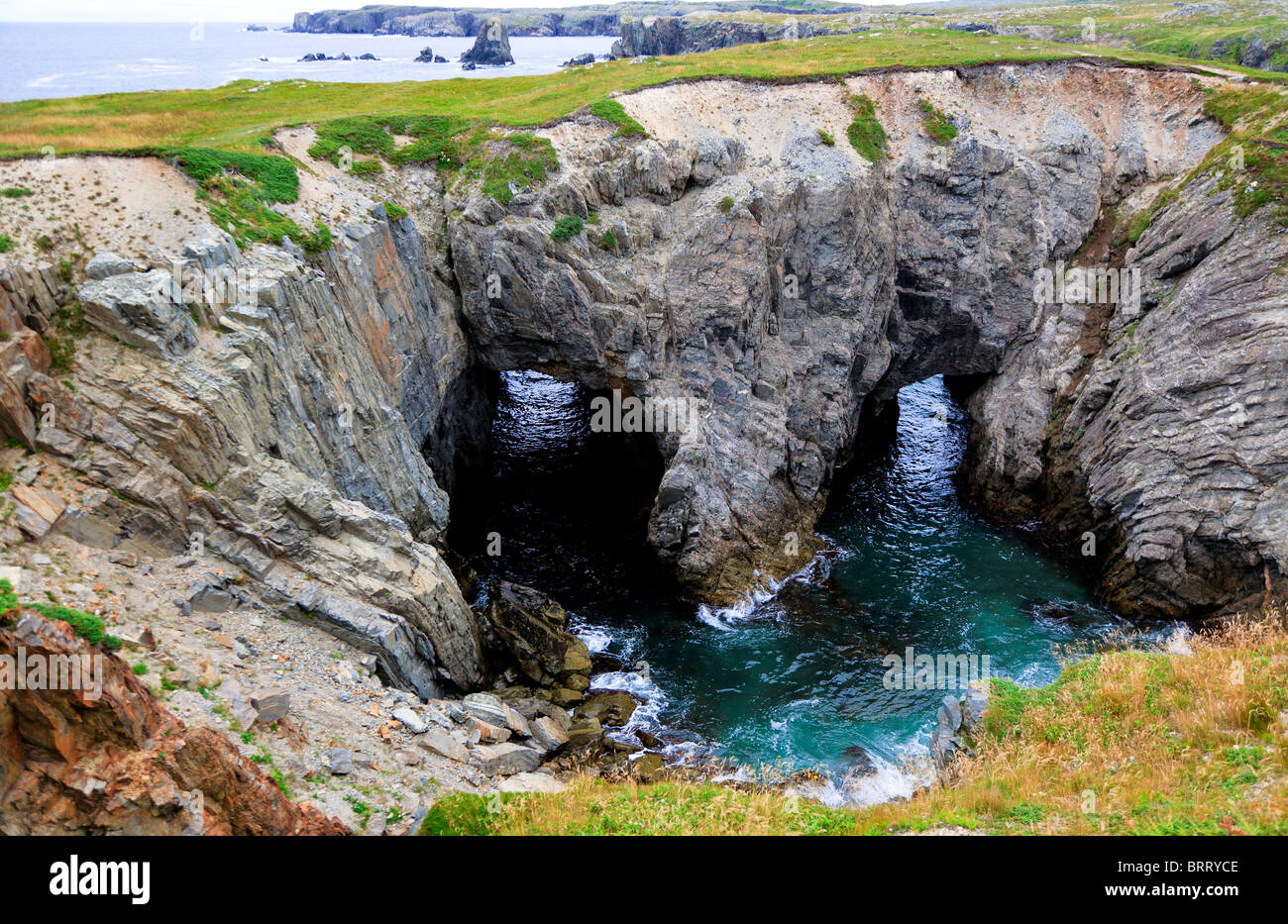 Grotte Marine e gli archi a Dungeon Parco Provinciale vicino Bonavista, Terranova, Canada Foto Stock