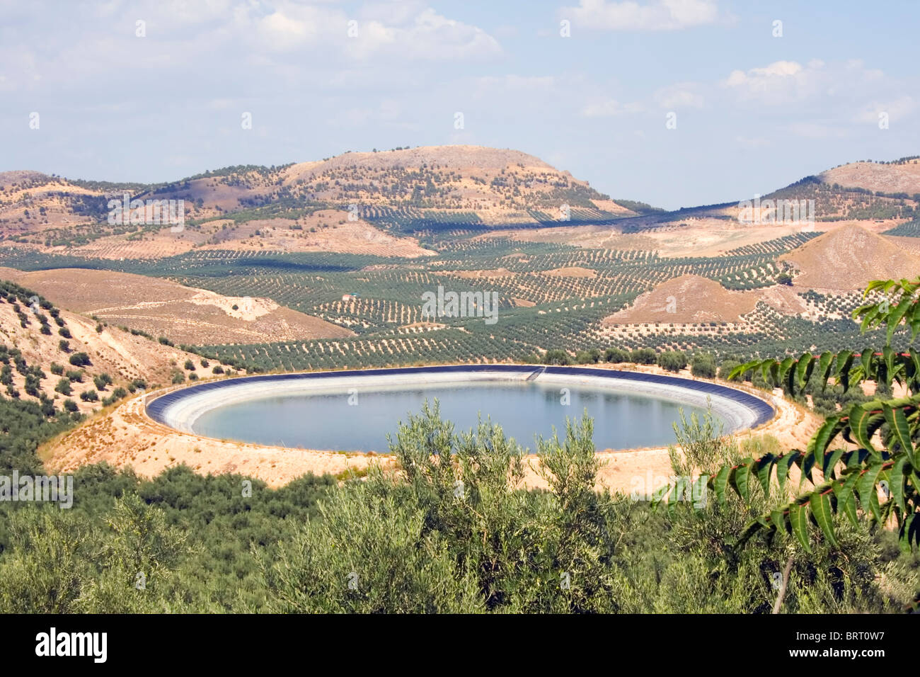 Acqua serbatoio di deposito per l'Irrigazione degli alberi di olivo. Provincia di Jaen, Spagna. Foto Stock