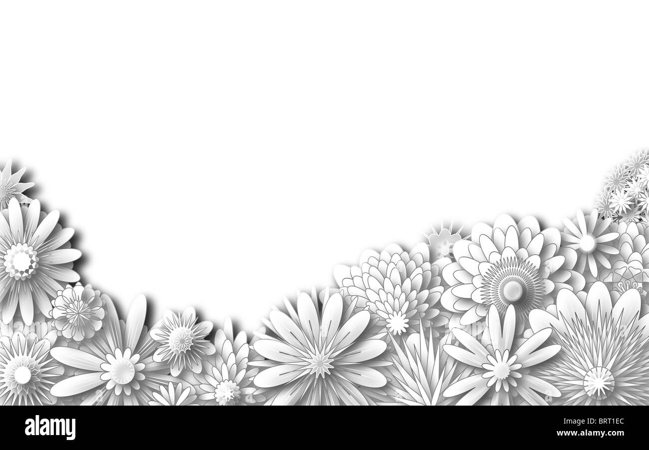 Primo piano illustrato di vari fiori bianchi Foto Stock