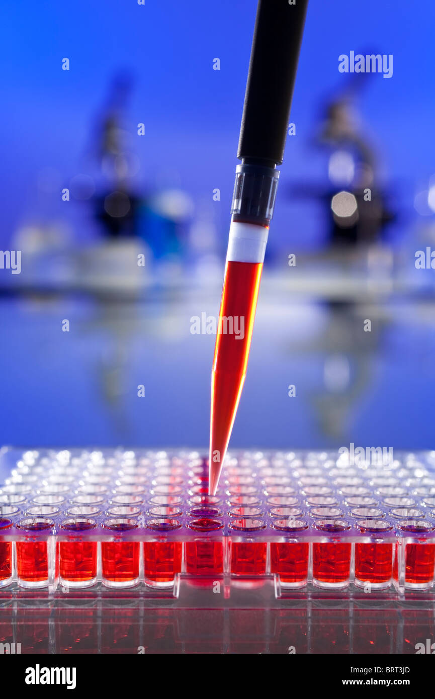 Una pipetta piena di campione di sangue o liquido rosso e vassoio di cella in un ambiente di laboratorio con microscopi e altre apparecchiature Foto Stock