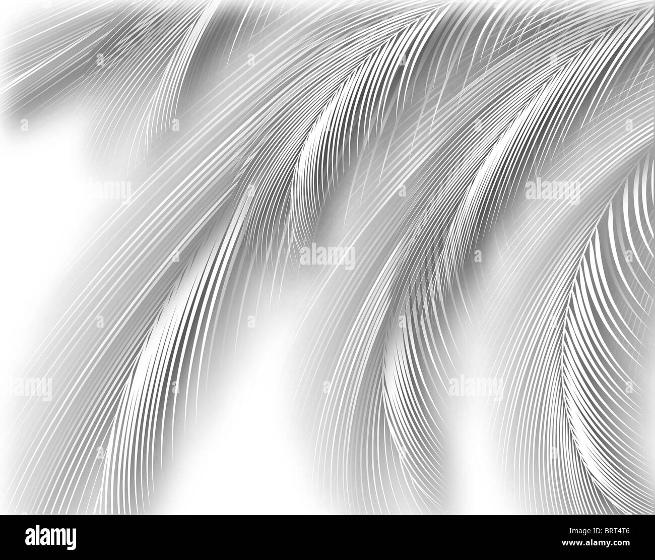 Abstract illustrazione di esclusione delle belle feathery fronde Foto Stock