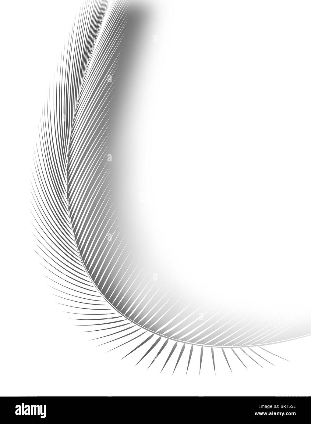 Illustrazione astratta di un intaglio di piume bianche Foto Stock