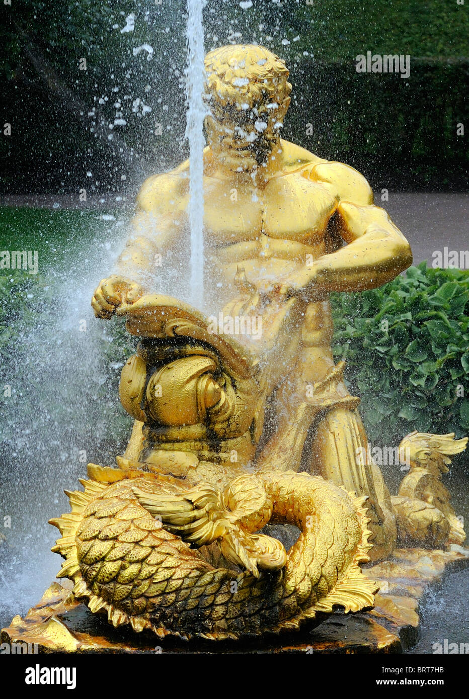 Un gilt statua di bronzo di un tritone di wrestling con un pesce. Questa è parte della grande cascata a Peterhof. San Pietroburgo, Foto Stock