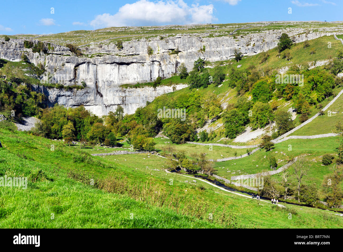 Malham Cove vicino al villaggio di Malham, Wharfedale, Yorkshire Dales National Park, England, Regno Unito Foto Stock