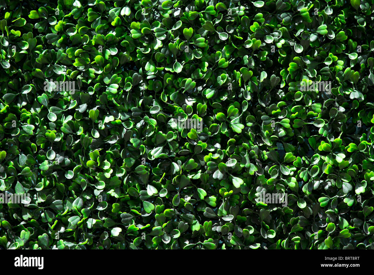 Shamrock sfondo per la festa di San Patrizio Foto Stock