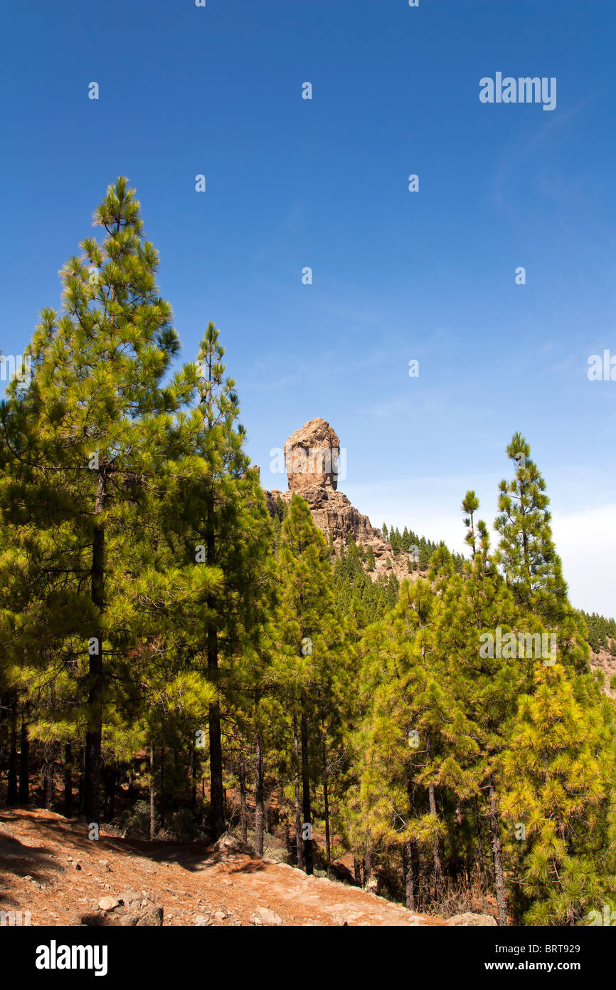 Roque Nublo è uno dei più famosi punti di riferimento nell'isola di Gran Canaria. Foto Stock