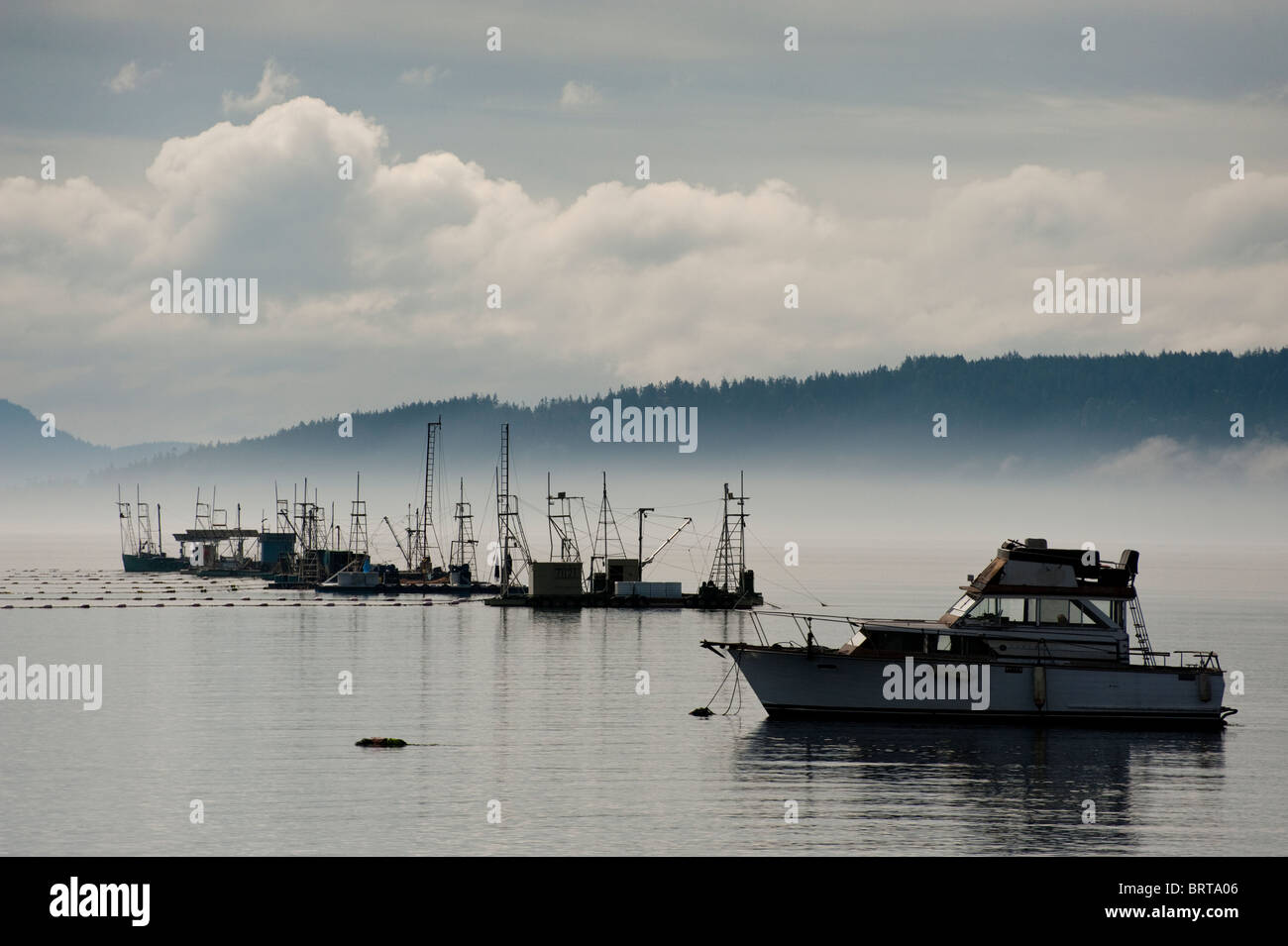 Commerciale di salmone Reefnet barche da pesca off Lummi Island, Washington, nel nord-ovest del Pacifico. Foto Stock