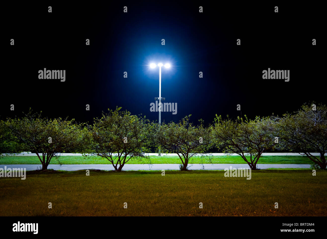 La luce Post di notte simmetrica con fila di alberi Foto Stock
