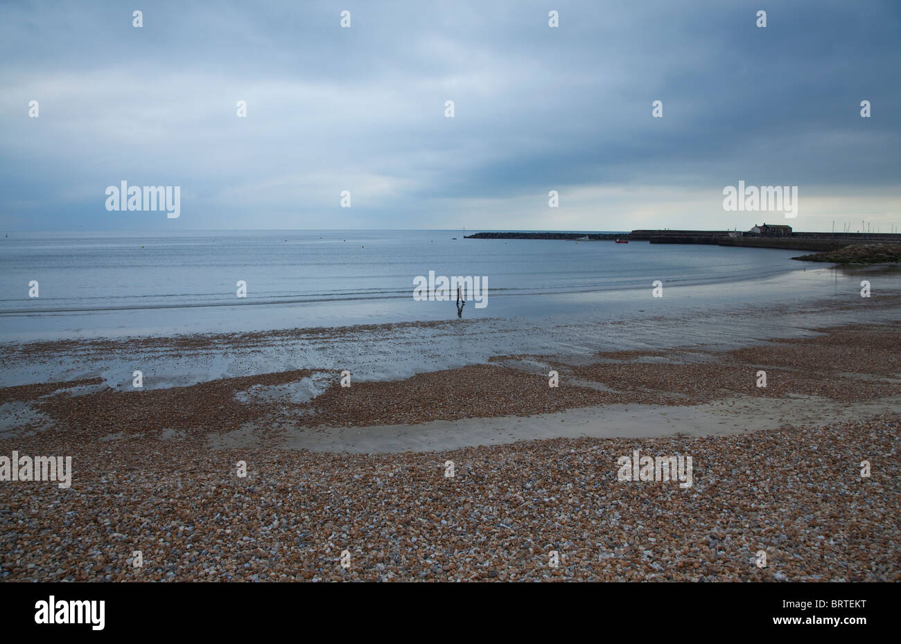 Uomo a camminare sulla spiaggia di ciottoli a Lyme Regis Dorset England Regno Unito Foto Stock