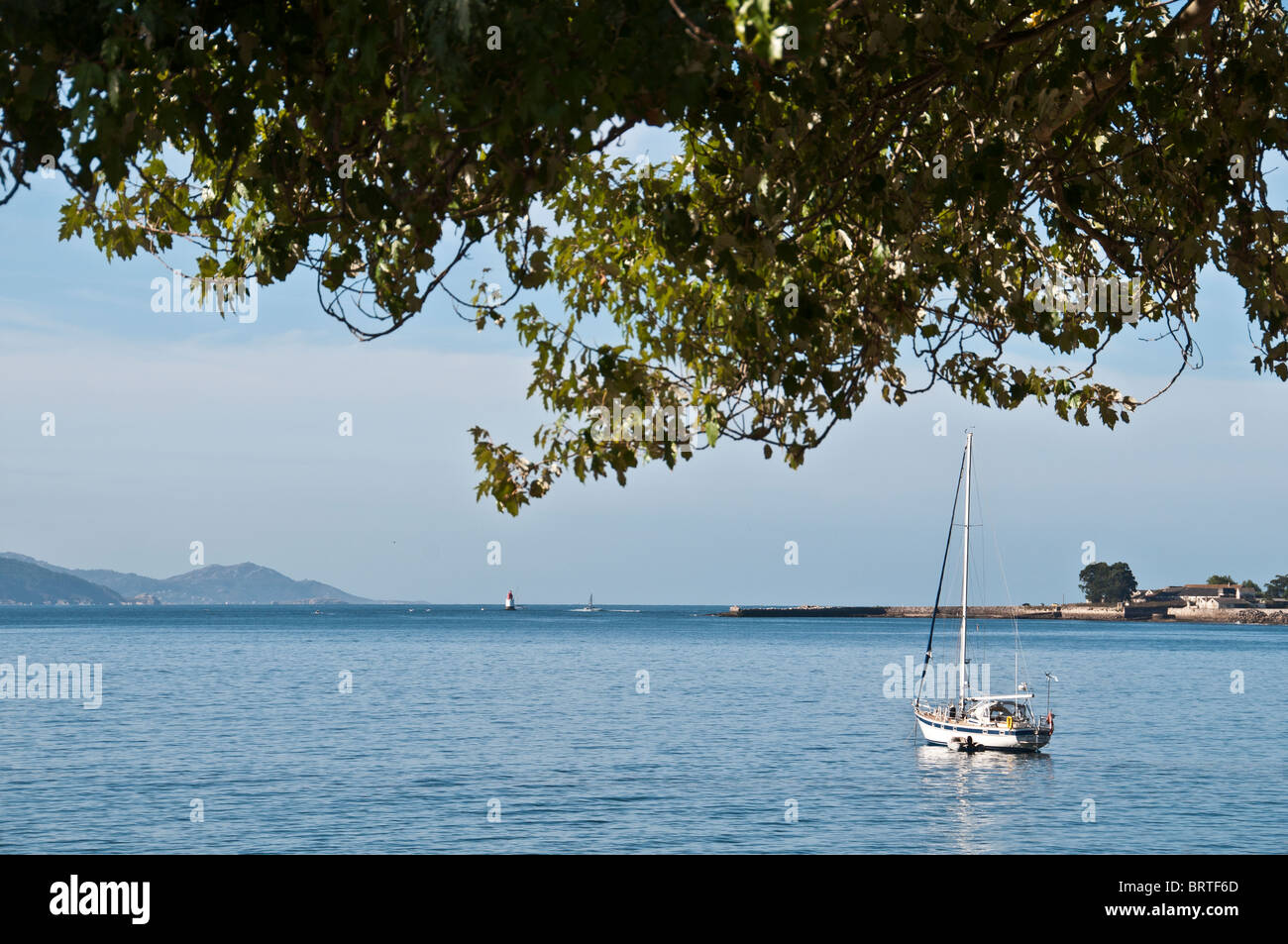 Barche a vela sotto un albero a fogliame, sul abbastanza acque dell' ria di Vigo', Galizia Pontevedra, Estate Tempo in Spagna del Nord Foto Stock