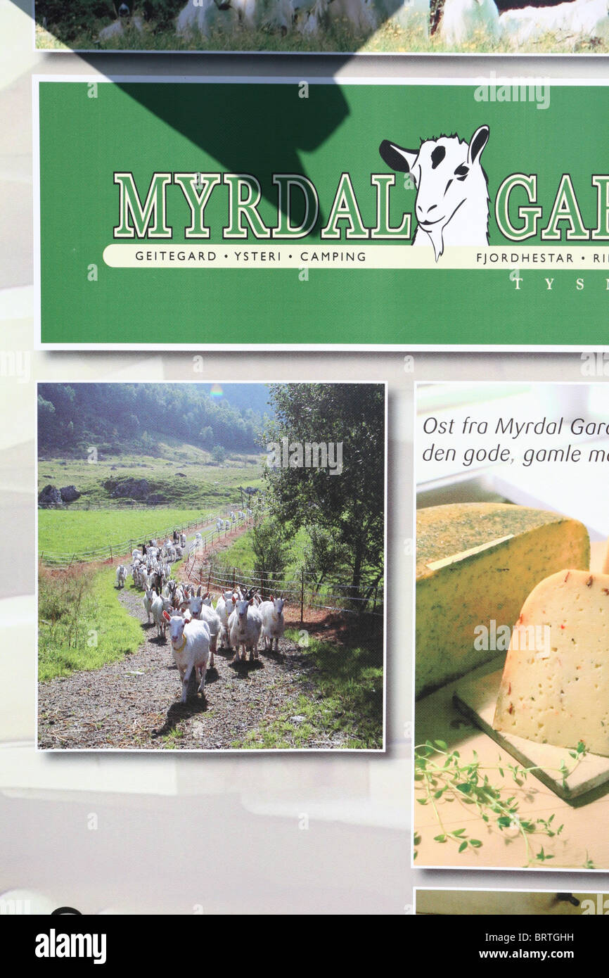 Poster di cibo durante una Food Festival a Bergen, in porto un sito patrimonio mondiale dell'UNESCO. Foto Stock