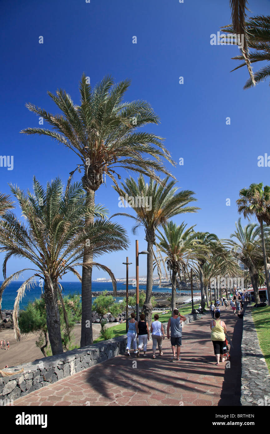 Isole Canarie, Tenerife Playa de las Americas Foto Stock