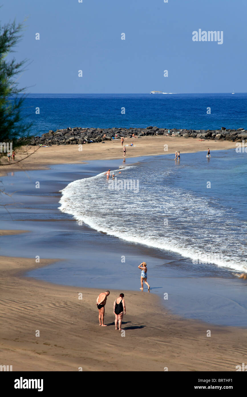 Isole Canarie, Tenerife Playa de las Americas Foto Stock